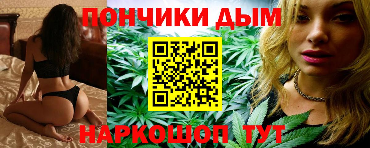 Бошки Шишки семена  Конопля VHQ  Пугачёв  Вход с VPN  Канабис Ganja 